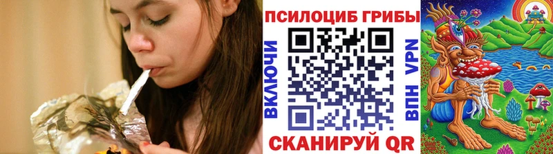 Псилоцибиновые грибы Psilocybe  Нальчик 